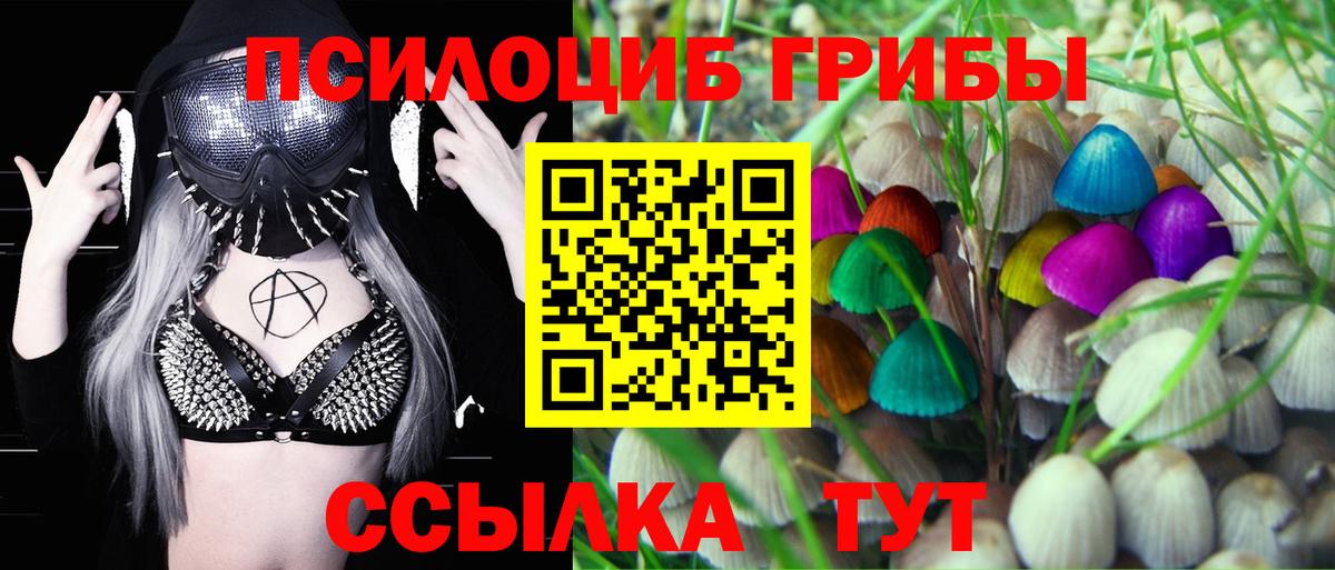 Псилоцибиновые грибы ЛСД Алейск