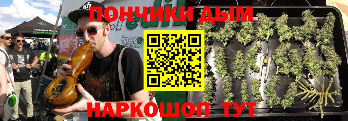 Конопля Bruce Banner  МАРИХУАНА Ganja  Вход с VPN  Бошки Шишки план  Алейск  МАРИХУАНА SATIVA & INDICA 